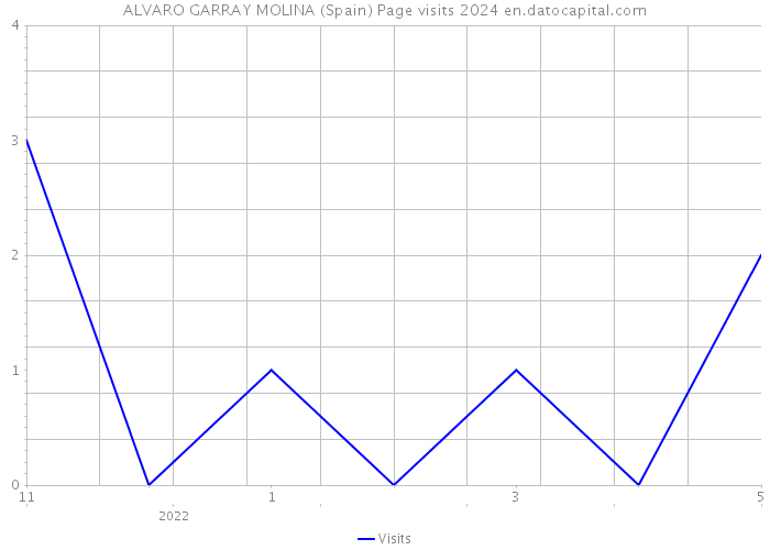 ALVARO GARRAY MOLINA (Spain) Page visits 2024 