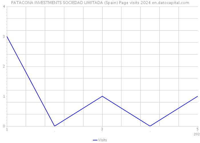 PATACONA INVESTMENTS SOCIEDAD LIMITADA (Spain) Page visits 2024 