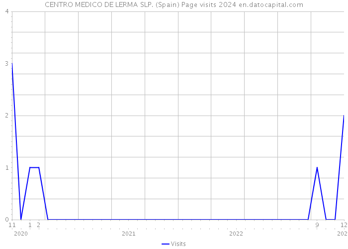 CENTRO MEDICO DE LERMA SLP. (Spain) Page visits 2024 