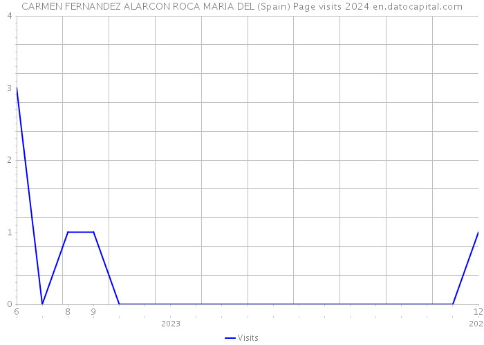 CARMEN FERNANDEZ ALARCON ROCA MARIA DEL (Spain) Page visits 2024 
