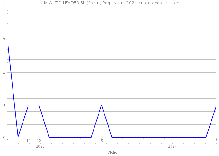 V.M AUTO LEADER SL (Spain) Page visits 2024 