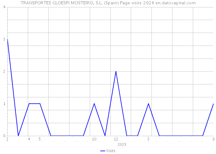 TRANSPORTES GLOESPI MOSTEIRO, S.L. (Spain) Page visits 2024 