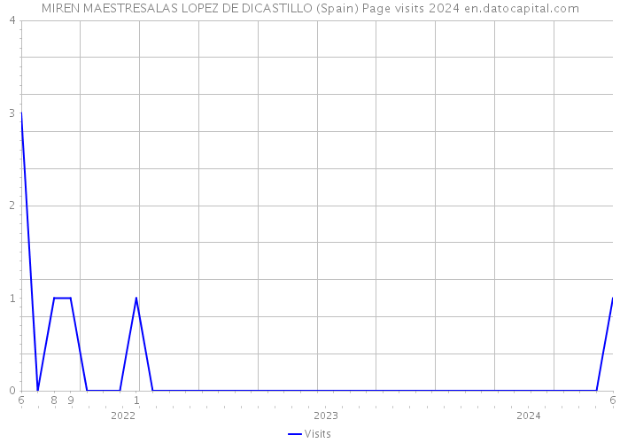 MIREN MAESTRESALAS LOPEZ DE DICASTILLO (Spain) Page visits 2024 