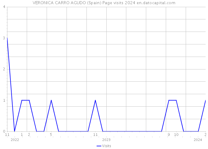 VERONICA CARRO AGUDO (Spain) Page visits 2024 