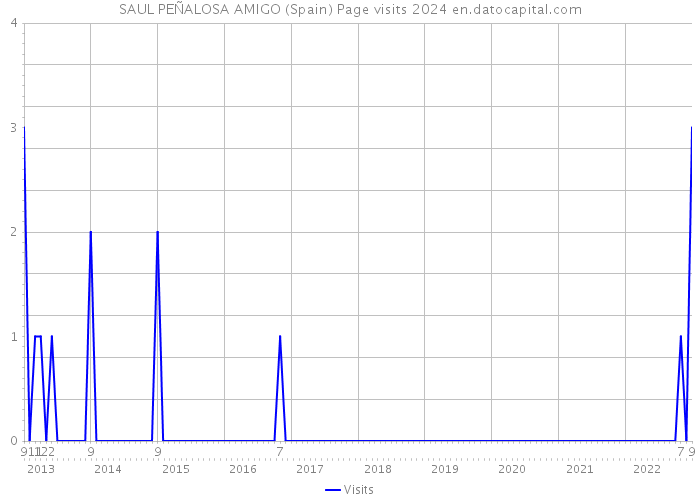 SAUL PEÑALOSA AMIGO (Spain) Page visits 2024 