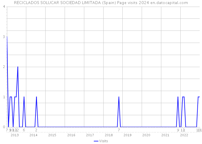 RECICLADOS SOLUCAR SOCIEDAD LIMITADA (Spain) Page visits 2024 