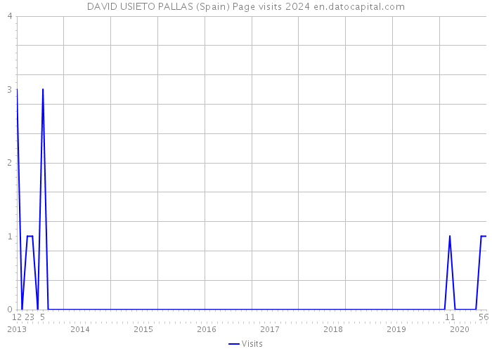 DAVID USIETO PALLAS (Spain) Page visits 2024 
