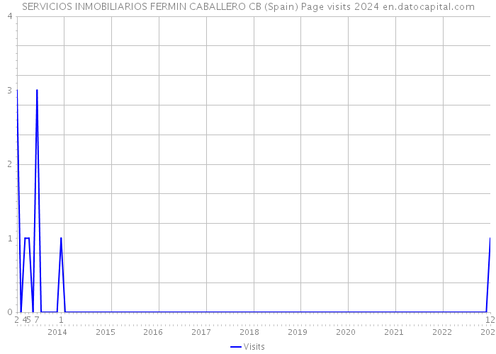 SERVICIOS INMOBILIARIOS FERMIN CABALLERO CB (Spain) Page visits 2024 