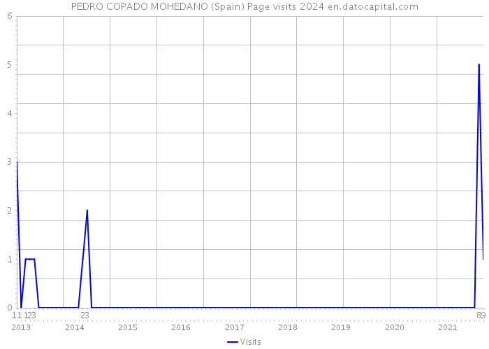 PEDRO COPADO MOHEDANO (Spain) Page visits 2024 