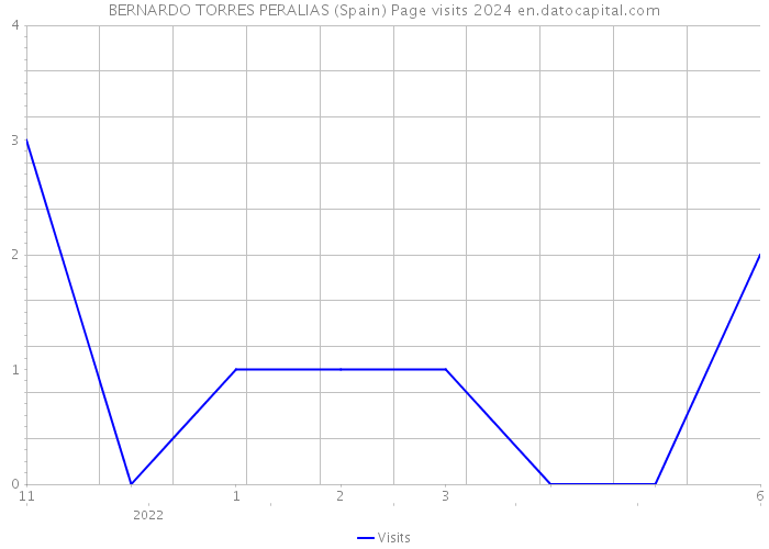 BERNARDO TORRES PERALIAS (Spain) Page visits 2024 
