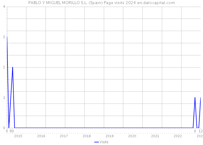 PABLO Y MIGUEL MORILLO S.L. (Spain) Page visits 2024 