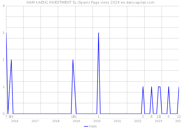 NAM KAENG INVESTMENT SL (Spain) Page visits 2024 