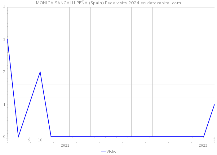 MONICA SANGALLI PEÑA (Spain) Page visits 2024 