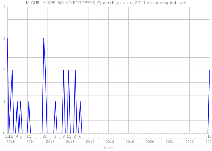 MIGUEL ANGEL BOLAO BORDETAS (Spain) Page visits 2024 