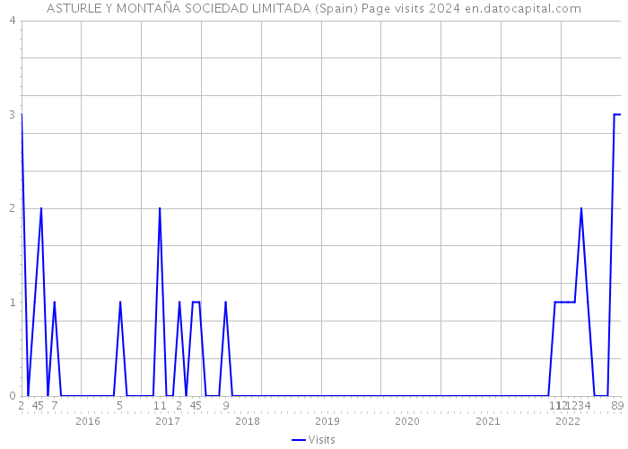 ASTURLE Y MONTAÑA SOCIEDAD LIMITADA (Spain) Page visits 2024 