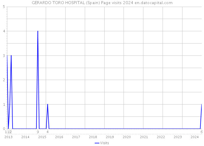 GERARDO TORO HOSPITAL (Spain) Page visits 2024 