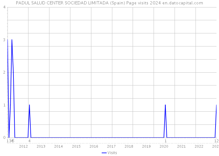 PADUL SALUD CENTER SOCIEDAD LIMITADA (Spain) Page visits 2024 