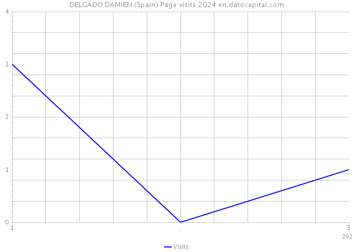 DELGADO DAMIEN (Spain) Page visits 2024 
