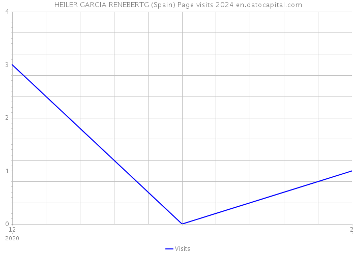 HEILER GARCIA RENEBERTG (Spain) Page visits 2024 