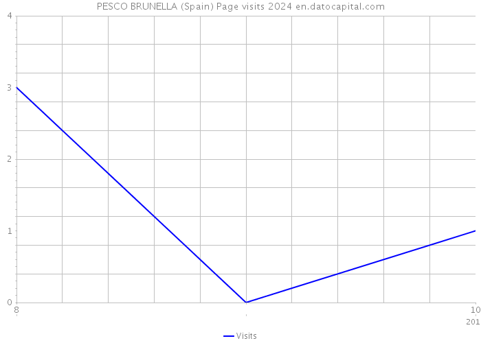 PESCO BRUNELLA (Spain) Page visits 2024 