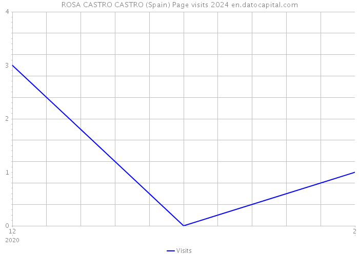 ROSA CASTRO CASTRO (Spain) Page visits 2024 