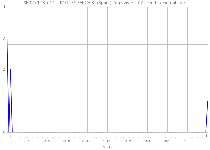 SERVICIOS Y SOLUCIONES BERCE SL (Spain) Page visits 2024 