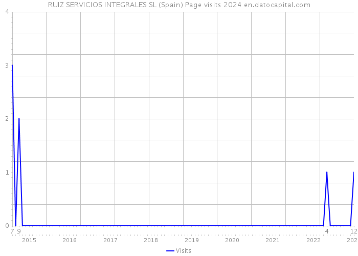 RUIZ SERVICIOS INTEGRALES SL (Spain) Page visits 2024 