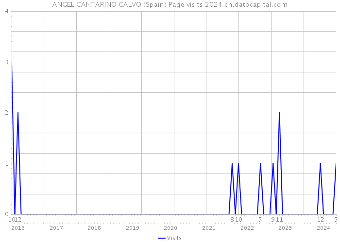 ANGEL CANTARINO CALVO (Spain) Page visits 2024 