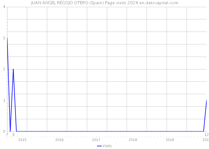 JUAN ANGEL REGOJO OTERO (Spain) Page visits 2024 