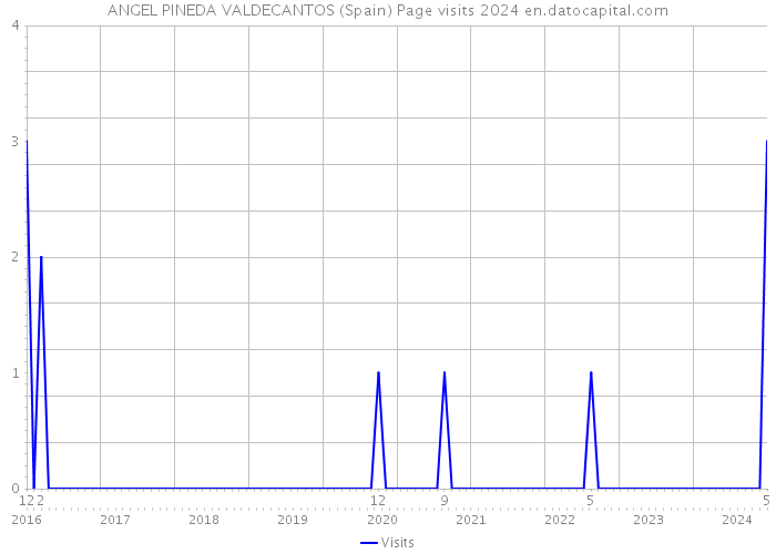 ANGEL PINEDA VALDECANTOS (Spain) Page visits 2024 