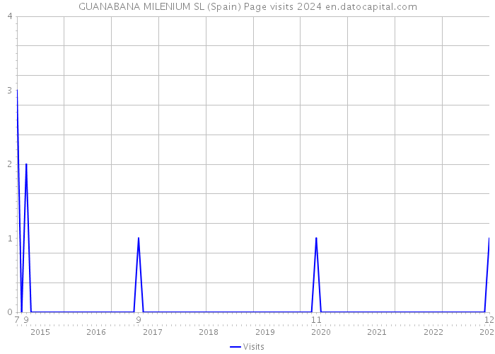 GUANABANA MILENIUM SL (Spain) Page visits 2024 