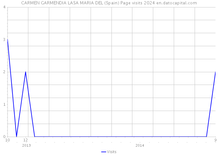 CARMEN GARMENDIA LASA MARIA DEL (Spain) Page visits 2024 