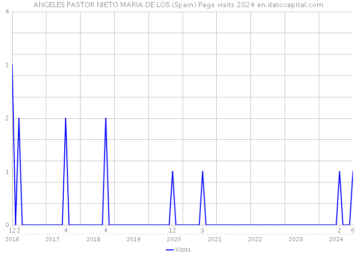 ANGELES PASTOR NIETO MARIA DE LOS (Spain) Page visits 2024 
