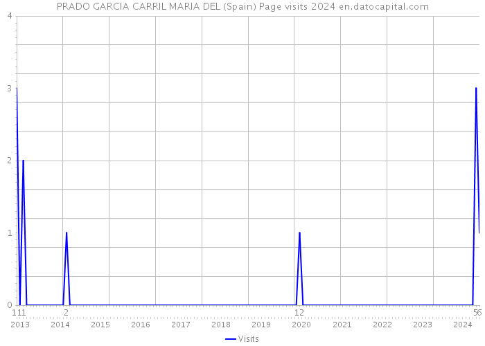 PRADO GARCIA CARRIL MARIA DEL (Spain) Page visits 2024 