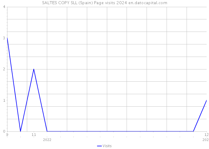 SALTES COPY SLL (Spain) Page visits 2024 