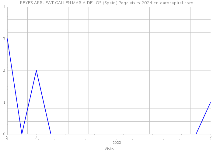 REYES ARRUFAT GALLEN MARIA DE LOS (Spain) Page visits 2024 