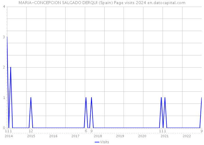 MARIA-CONCEPCION SALGADO DERQUI (Spain) Page visits 2024 