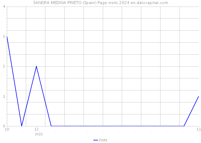 SANDRA MEDINA PRIETO (Spain) Page visits 2024 
