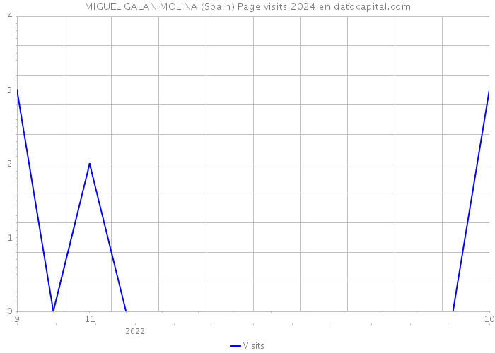 MIGUEL GALAN MOLINA (Spain) Page visits 2024 