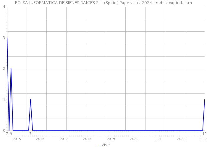 BOLSA INFORMATICA DE BIENES RAICES S.L. (Spain) Page visits 2024 