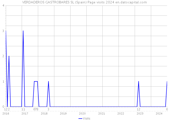 VERDADEROS GASTROBARES SL (Spain) Page visits 2024 