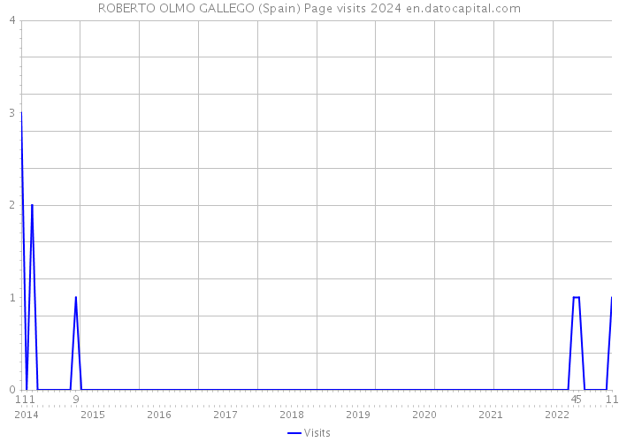 ROBERTO OLMO GALLEGO (Spain) Page visits 2024 