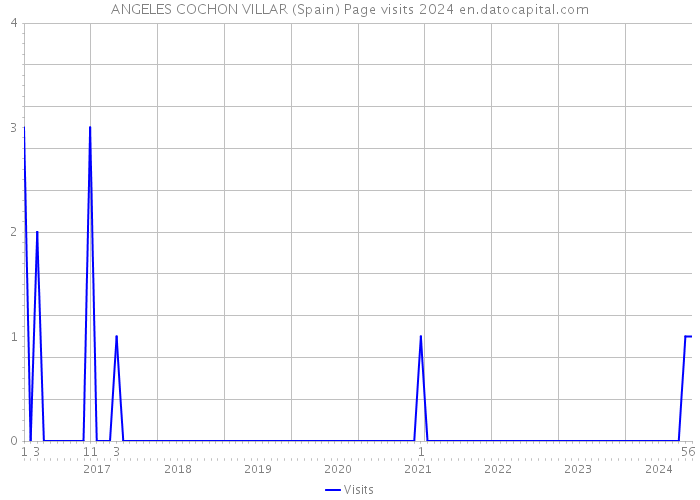 ANGELES COCHON VILLAR (Spain) Page visits 2024 