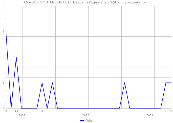 AMADOR MONTENEGRO GAITE (Spain) Page visits 2024 