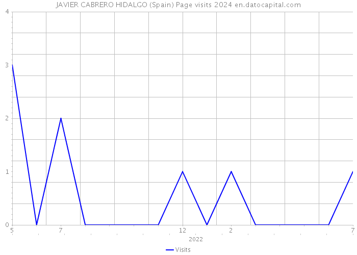 JAVIER CABRERO HIDALGO (Spain) Page visits 2024 