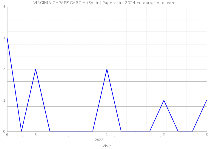 VIRGINIA CAPAPE GARCIA (Spain) Page visits 2024 