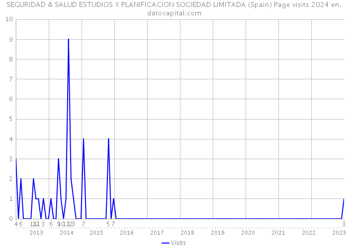 SEGURIDAD & SALUD ESTUDIOS Y PLANIFICACION SOCIEDAD LIMITADA (Spain) Page visits 2024 