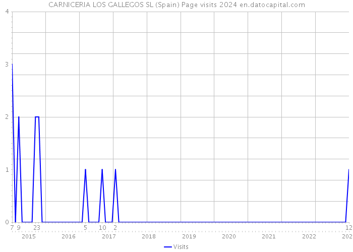 CARNICERIA LOS GALLEGOS SL (Spain) Page visits 2024 