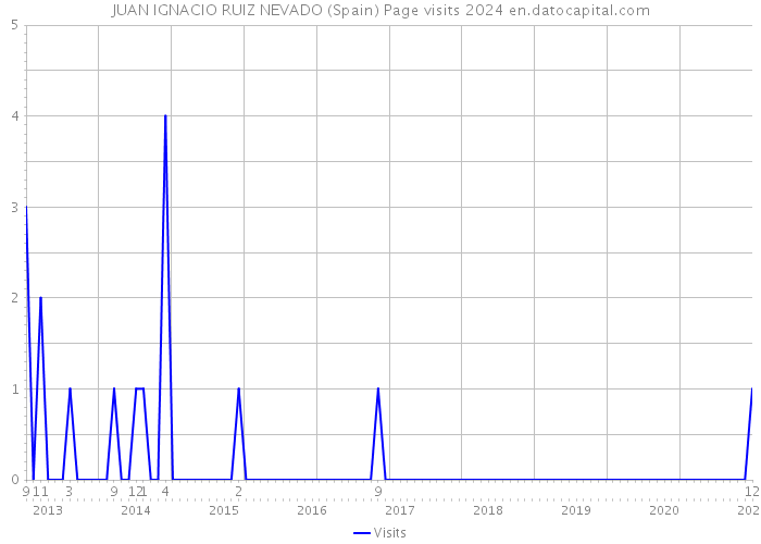 JUAN IGNACIO RUIZ NEVADO (Spain) Page visits 2024 