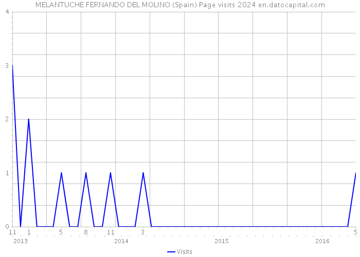 MELANTUCHE FERNANDO DEL MOLINO (Spain) Page visits 2024 